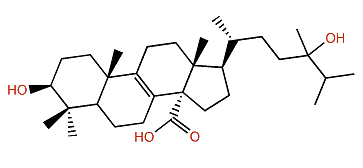3b,24-Dihydroxy-24-methyllanost-8-en-30-oic acid